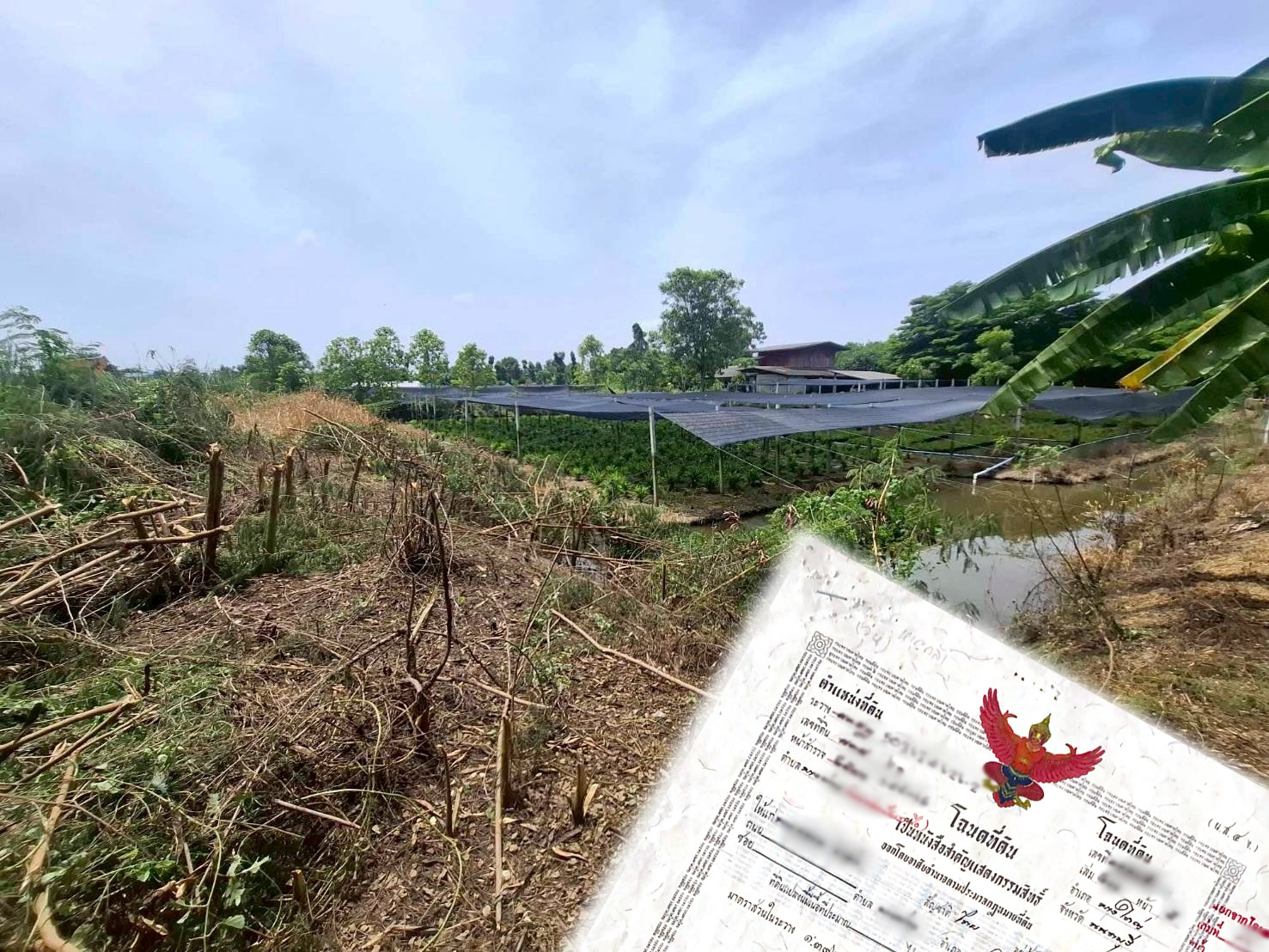 ที่ดินทำเลดี นนทบุรี