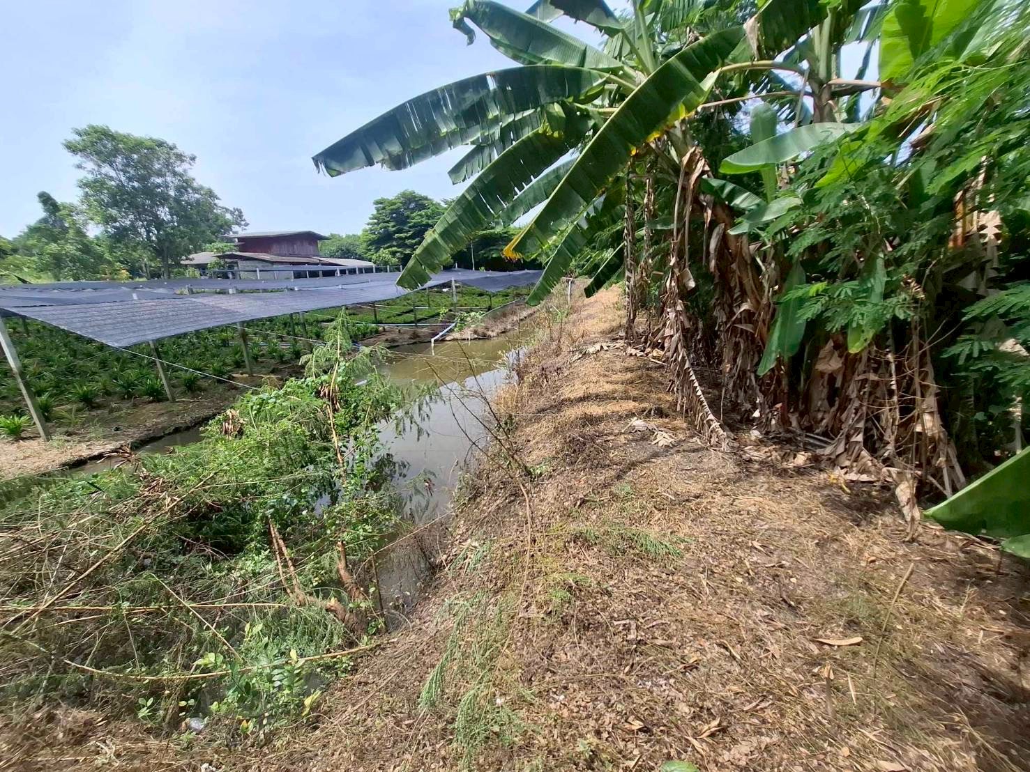 ขายที่ดินนนทบุรี น้ำไม่ท่วม