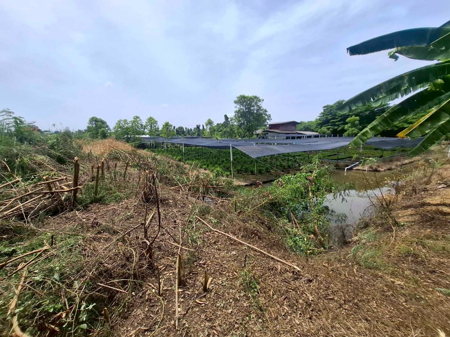 ขายที่ดิน ทำเลดี