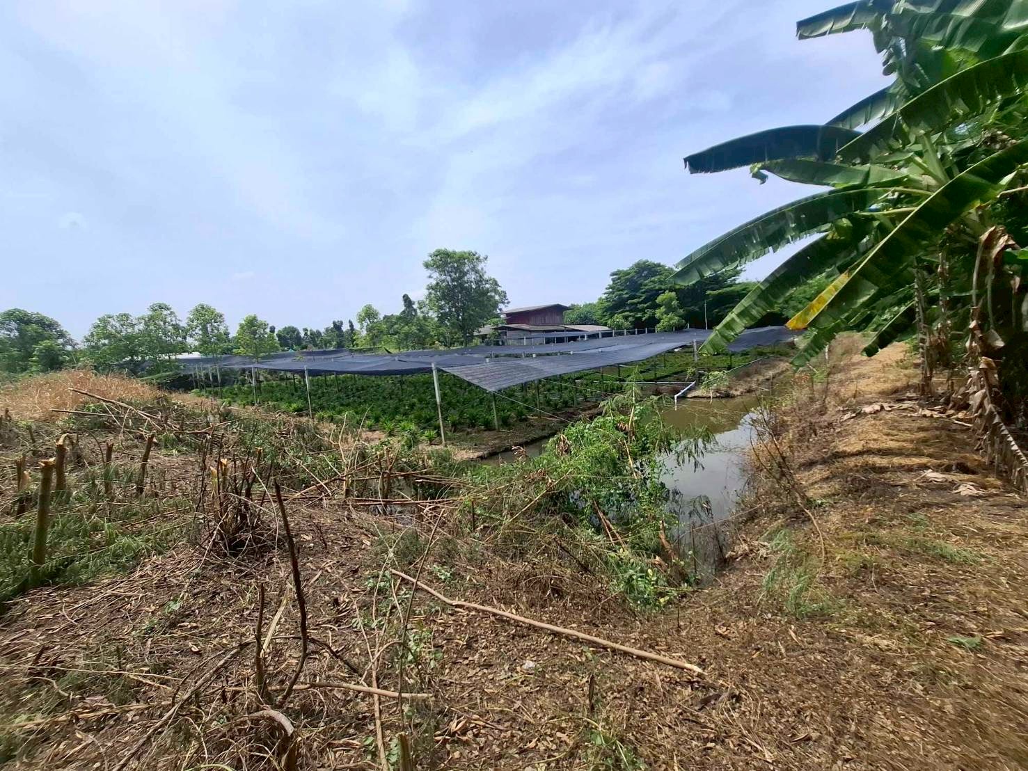 ขายที่ดิน เจ้าของขายเอง